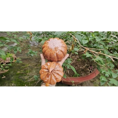 Hũ đựng bánh, mức, kẹo Tết bằng gỗ dừa nguyên khối loại 1 - Giảm còn 120.000 VND 8