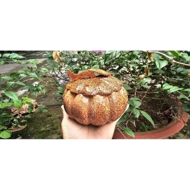 Hũ đựng bánh, mức, kẹo Tết bằng gỗ dừa nguyên khối loại 1 - Giảm còn 120.000 VND 9