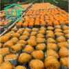 Hủ tiếu khô rau củ đặc sản Sa Đéc - Giá chỉ 40.000, ngon, tiện lợi, giao nhanh 4