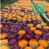 Hủ tiếu khô rau củ đặc sản Sa Đéc - Giá chỉ 40.000, ngon, tiện lợi, giao nhanh 5