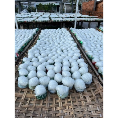 Hủ Tiếu Khô Vắt Đặc Sản Sa Đéc Truyền Thống - Giá chỉ 32.000 VNĐ, giảm từ 39.360