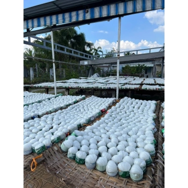 Hủ Tiếu Khô Vắt Đặc Sản Sa Đéc Truyền Thống - Giá chỉ 32.000 VNĐ, giảm từ 39.360