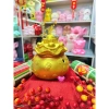 Hũ Vàng Tài Lộc & Túi Tiết Kiệm Mẫu Mới - Ống Decor Độc Đáo, Quà Tặng - Xưởng Heo Đất Nhà Ỉn 69,666₫ 5