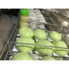 Hương cốm sữa 500ml - Hương liệu thực phẩm cho bánh, kẹo, trộn mồi câu, giá 96.000đ 4
