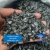 Hướng Dương 1KG Size Nhỏ – Thức ăn cho Vẹt, Chim Cảnh, Hamster, Sóc, Giá 60.000 VND