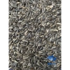 Hướng Dương 1KG Size Nhỏ – Thức ăn cho Vẹt, Chim Cảnh, Hamster, Sóc, Giá 60.000 VND 3