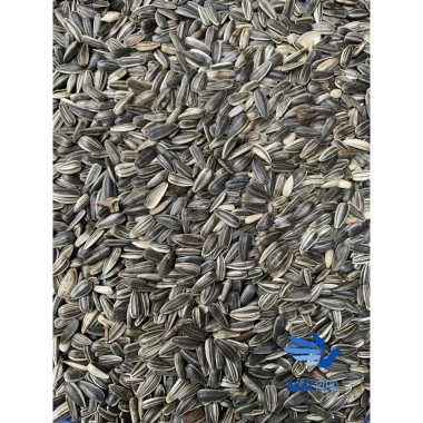 Hướng Dương 1KG Size Nhỏ – Thức ăn cho Vẹt, Chim Cảnh, Hamster, Sóc, Giá 60.000 VND 3