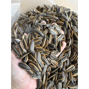 Hướng dương 5kg vụ mới tẩm vị táo đỏ, caramel, dừa, óc chó - Giá ưu đãi 95.000₫