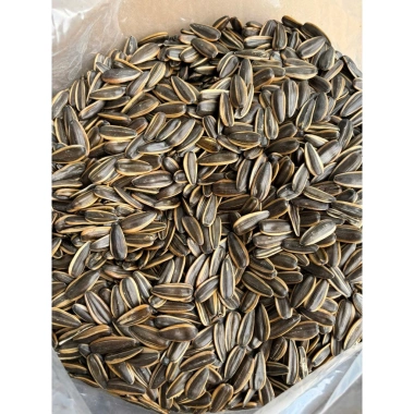 Hướng dương 5kg vụ mới tẩm vị táo đỏ, caramel, dừa, óc chó - Giá ưu đãi 95.000₫