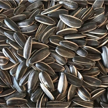 Hướng Dương Đen Rang Sẵn 1KG Hạt To Nguyên Vị - Hàng Loại 1 Giá Ưu Đãi 52.800 VND 3