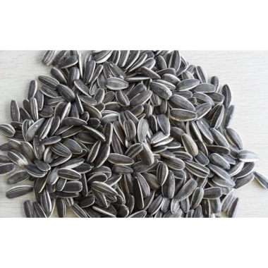 Hướng dương loại 1 chín hạt to đều - Thái Bình Food - Giá chỉ 62.800₫ (giảm từ 78.500₫)