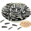 Hướng dương loại 1 chín hạt to đều - Thái Bình Food - Giá chỉ 62.800₫ (giảm từ 78.500₫) 5