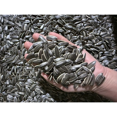 Hướng Dương Rang Củi 500-1.000g - Hạt sạch thơm bùi không bám tay, giá 75.000đ
