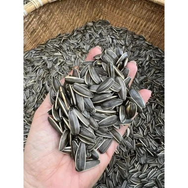 Hướng dương rang củi thơm ngậy – Giá 50.000đ, giảm từ 61.500đ, giòn bốc lửa 2