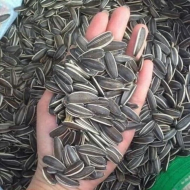 Hướng dương rang sẵn 1kg - Giảm giá, chỉ 89.000 VND, thơm giòn, dinh dưỡng cao