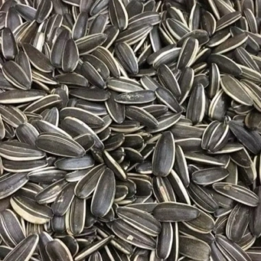 Hướng Dương Rang Tay Nguyên Vị 1kg – Giòn Tan, Thơm Ngon, Giá Ưu Đãi 85.000₫