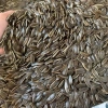 Hướng Dương Rang Tay Nguyên Vị 1kg – Giòn Tan, Thơm Ngon, Giá Ưu Đãi 85.000₫ 3