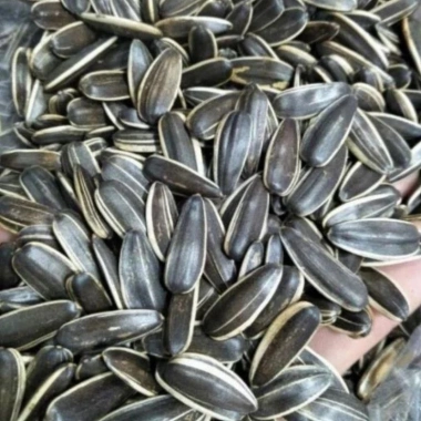 Hướng Dương Sấy 1kg Giá Ưu Đãi 89k - Bán Sỉ Truyền Thống, Giòn Tan, Dinh Dưỡng