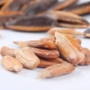 Hướng Dương Tẩm Vị Caramen 500gr - Ngon Ngọt, Giảm Giá 70.000₫, Giá Gốc 87.500₫ 5