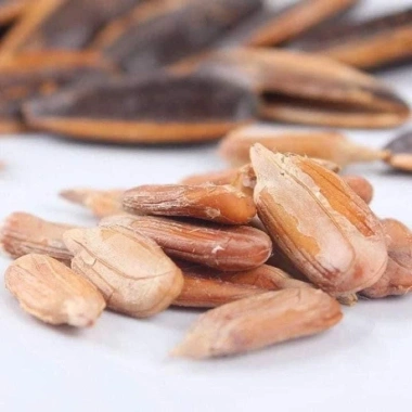 Hướng Dương Tẩm Vị Caramen 500gr - Ngon Ngọt, Giảm Giá 70.000₫, Giá Gốc 87.500₫