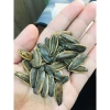 Hướng dương tẩm vị dừa mặn ngọt 90g - Giảm giá 20k, giá chỉ 24.200đ 3