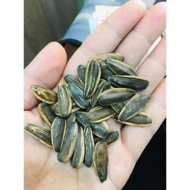 Hướng dương tẩm vị dừa mặn ngọt 90g - Giảm giá 20k, giá chỉ 24.200đ