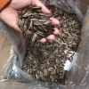 Hướng Dương Vị Dừa 500g-1kg - Hạt Dẻo Ngon, Dinh Dưỡng, Giảm Giá 22 Phần Trăm, Mua Ngay