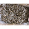 Hướng Dương Vị Dừa 500g-1kg - Hạt Dẻo Ngon, Dinh Dưỡng, Giảm Giá 22 Phần Trăm, Mua Ngay 2