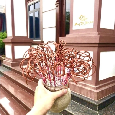 Hương Nhang Thảo Mộc 100 Cây Thơm Cao Cấp 29-39cm Nhang Tài Lộc Sạch Tàn Óng Chiêu Giá 55.000 VND 5