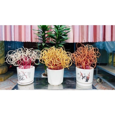 Hương Nhang Thảo Mộc 100 Cây Thơm Cao Cấp 29-39cm Nhang Tài Lộc Sạch Tàn Óng Chiêu Giá 55.000 VND 8