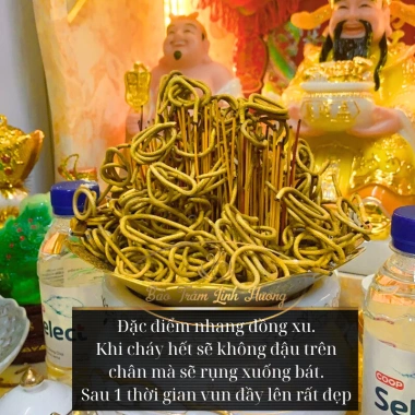 Hương Vàng Thần Tài Cuộn Đồng Xu Bảo Trầm Linh Hương Nhang Vàng Tài Lộc Sạch Ít Khói Thắp Cuốn Tàn Thờ Cúng 24.000đ 3