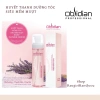Huyết Thanh Dưỡng Tóc Siêu Mềm Mượt Silky Flower Serum - Giá Ưu Đãi 205.000 VNĐ