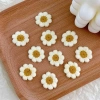 HYCEO 20 miếng dán hoa nhỏ DIY - Thêu áo, mũ, túi - Giá chỉ 54.000 VND 4
