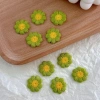 HYCEO 20 miếng dán hoa nhỏ DIY - Thêu áo, mũ, túi - Giá chỉ 54.000 VND 9