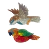 HYCEO Vuốt Tóc Vẹt Sparrow Acrylic Kẹp tóc Chim Cá Mập Sống Động cho Bé Gái 7