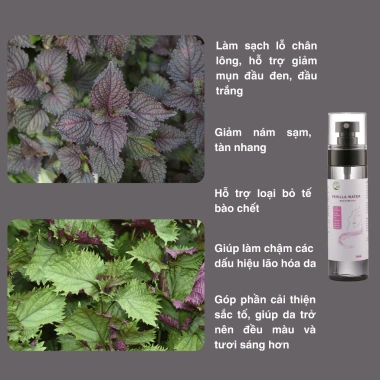 Hydrosol Tía Tô Michi - Xịt Khoáng Thảo Mộc Dịu Nhẹ, Toner Tươi Mát Da, Giá 85k 3