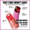 Jelly Blush Stick 0.18 oz - Phấn má hồng sheer, tint môi và má, giảm giá 53.900 VND 3