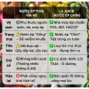 Juice Thùng 12 Lon Nước Ép Trái Cây và Rau Củ Thật Detox Ngọt Tự Nhiên - Tặng Túi Xịn Đơn 249K - Chỉ 383.000₫ 3