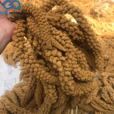 Kê chùm cho vẹt, chuột gói 500g-1.000g – Giá ưu đãi 44.100₫, dinh dưỡng cân bằng 3