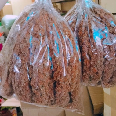 Kê chùm cho vẹt, chuột gói 500g-1.000g – Giá ưu đãi 44.100₫, dinh dưỡng cân bằng 5