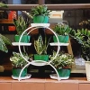 Kệ đặt chậu hoa 6 tầng khung sắt chắc chắn có bánh xe - Giá ưu đãi 77.000₫ 5