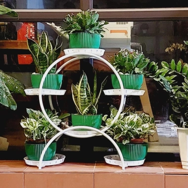 Kệ đặt chậu hoa 6 tầng khung sắt chắc chắn có bánh xe - Giá ưu đãi 77.000₫