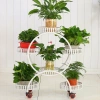 Kệ đặt chậu hoa 6 tầng khung sắt chắc chắn có bánh xe - Giá ưu đãi 77.000₫ 8