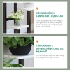 Kệ để cây cảnh Ban Công Ngoài Trời - Kiểu đơn giản, Giá chỉ 199.000đ 3