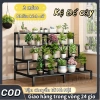 Kệ Để Chậu Hoa 2/3 Tầng Bậc Thang - Trưng Bày Cây Ban Công, Sân Vườn, Giá 267.900₫