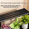 Kệ Để Chậu Hoa 2/3 Tầng Bậc Thang - Trưng Bày Cây Ban Công, Sân Vườn, Giá 267.900₫ 5