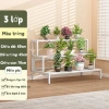 Kệ Để Chậu Hoa 2/3 Tầng Bậc Thang - Trưng Bày Cây Ban Công, Sân Vườn, Giá 267.900₫ 9