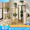 Kệ Hoa Nhiều Tầng Bali 24x24x90cm - Đa Năng Trang Trí Phòng Khách, Giá 209.000₫