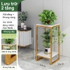 Kệ Hoa Nhiều Tầng Bali 24x24x90cm - Đa Năng Trang Trí Phòng Khách, Giá 209.000₫ 10