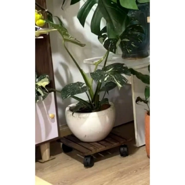 Kệ kê chậu cây 22x22x7cm gỗ ghép bánh xe di chuyển - Tiện lợi, giá chỉ 90.000đ